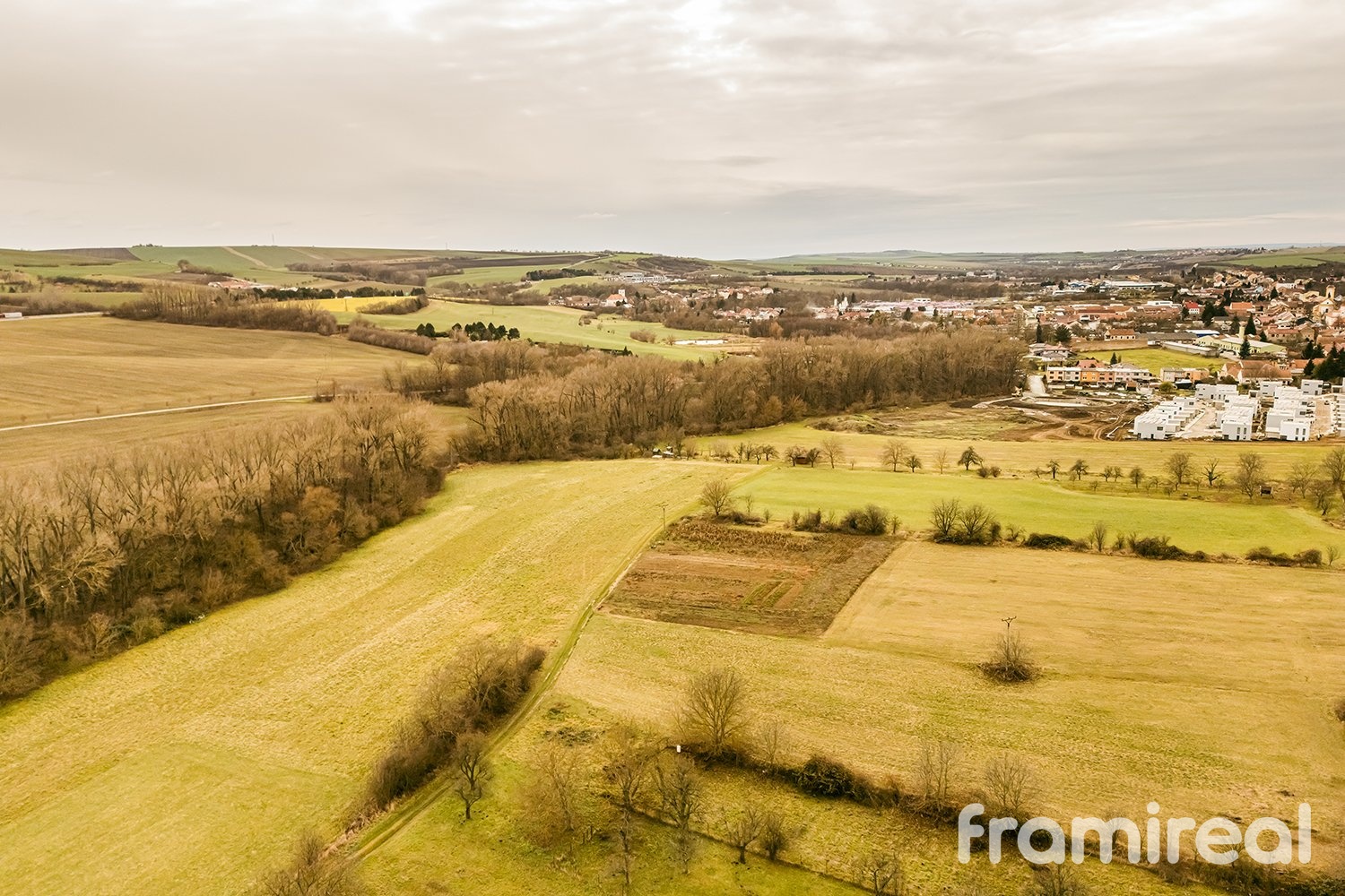 fotopozemekcechyne (7)