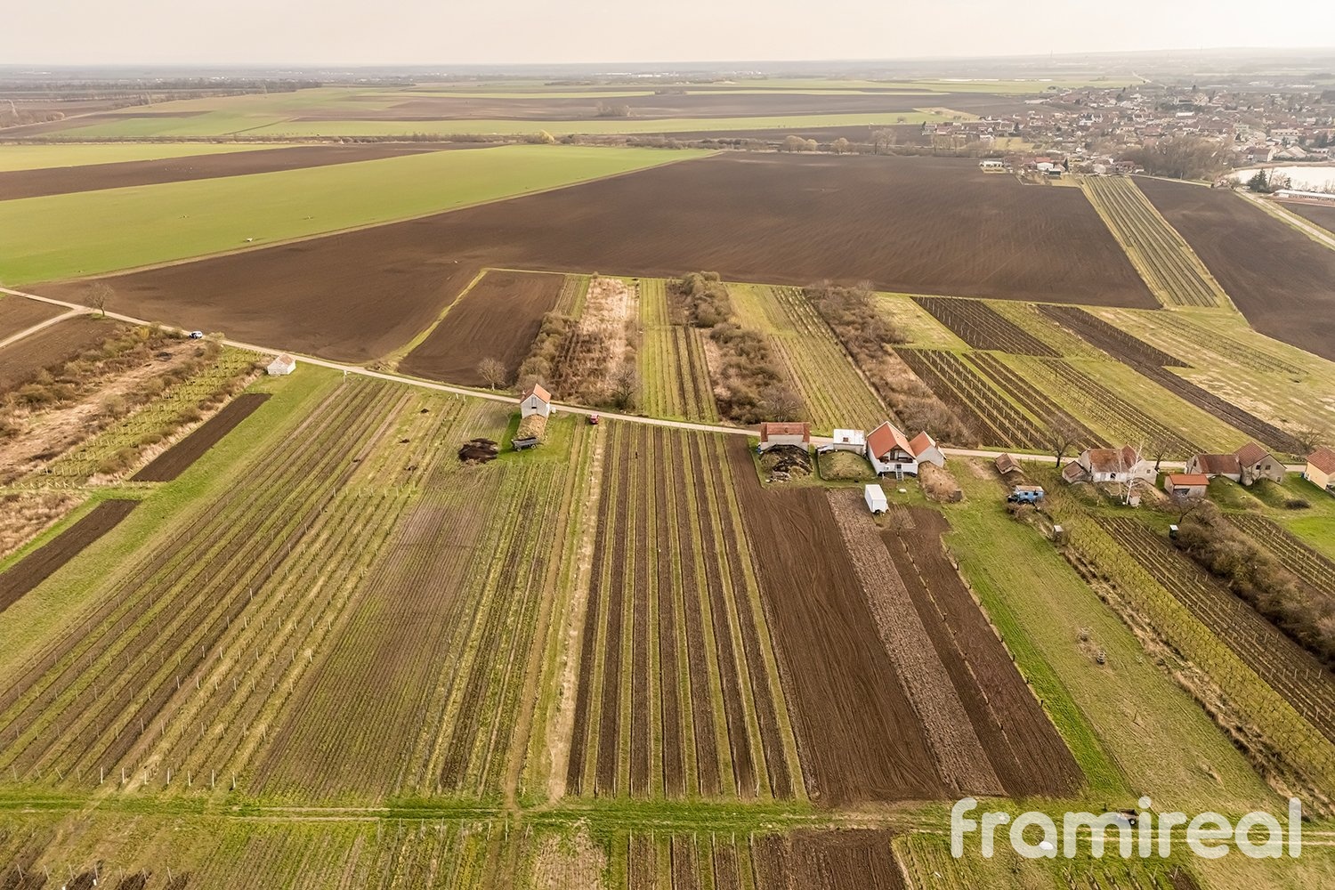 fotopozemkymoravskyzizkov (14)