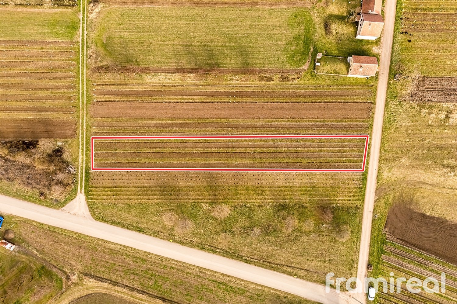 fotopozemkymoravskyzizkov (11)