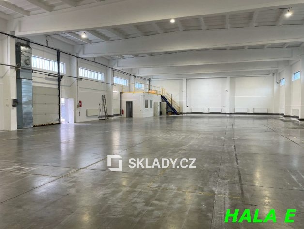 haly (3)