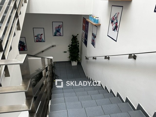 Areál - Medlánky (3)