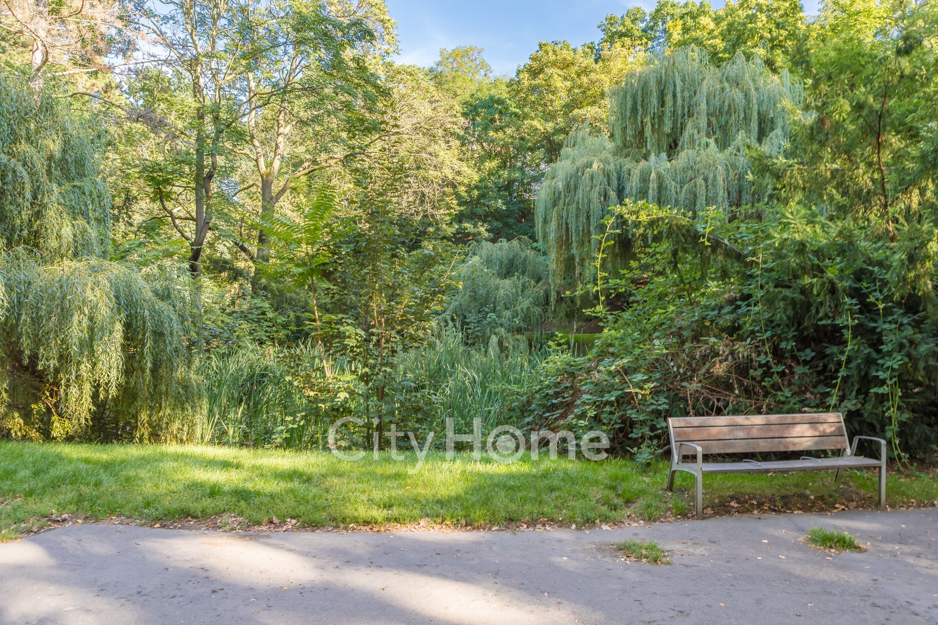 IMG_3219_jezerka_park