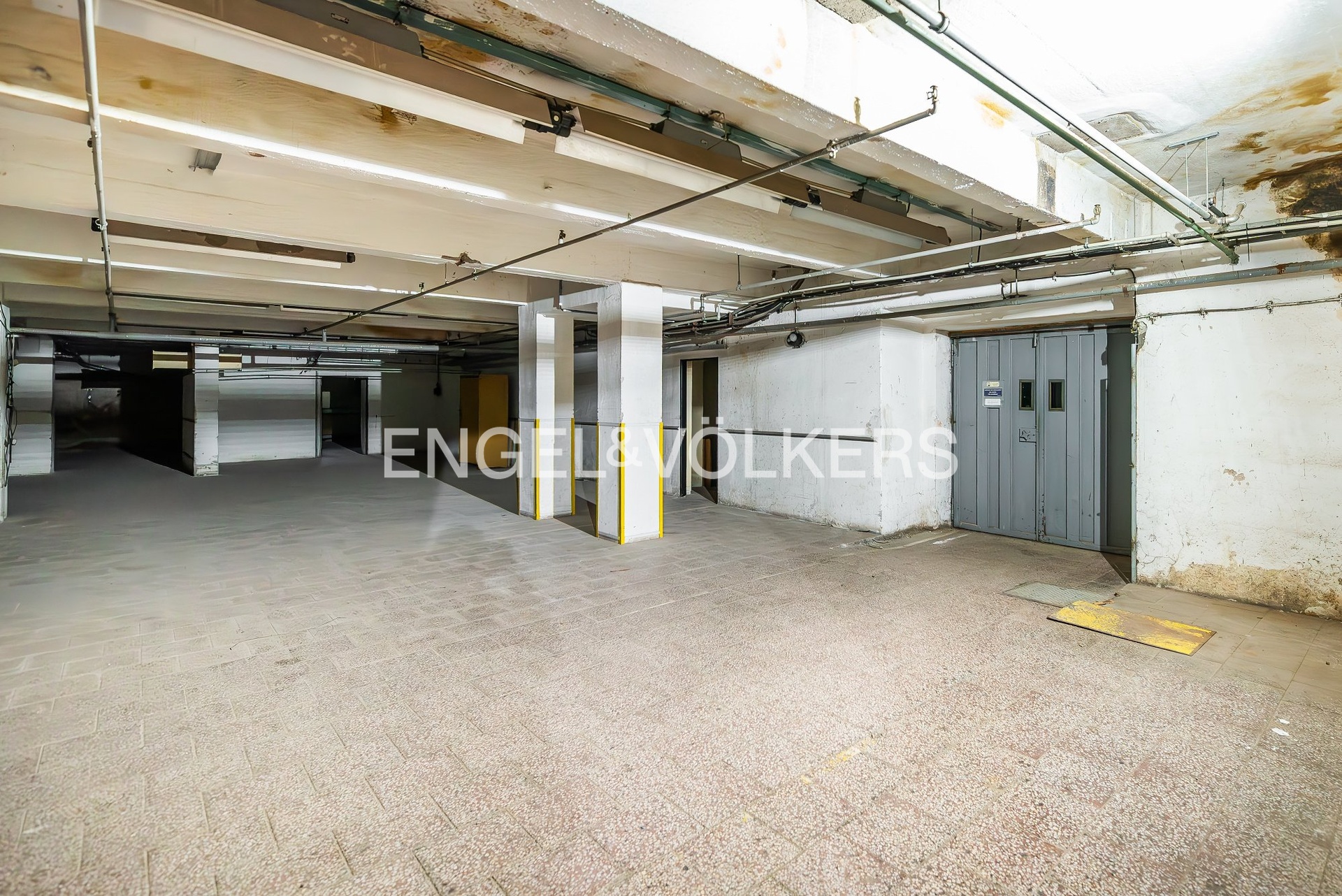 DSC_8981-Enhanced-NR_exposé