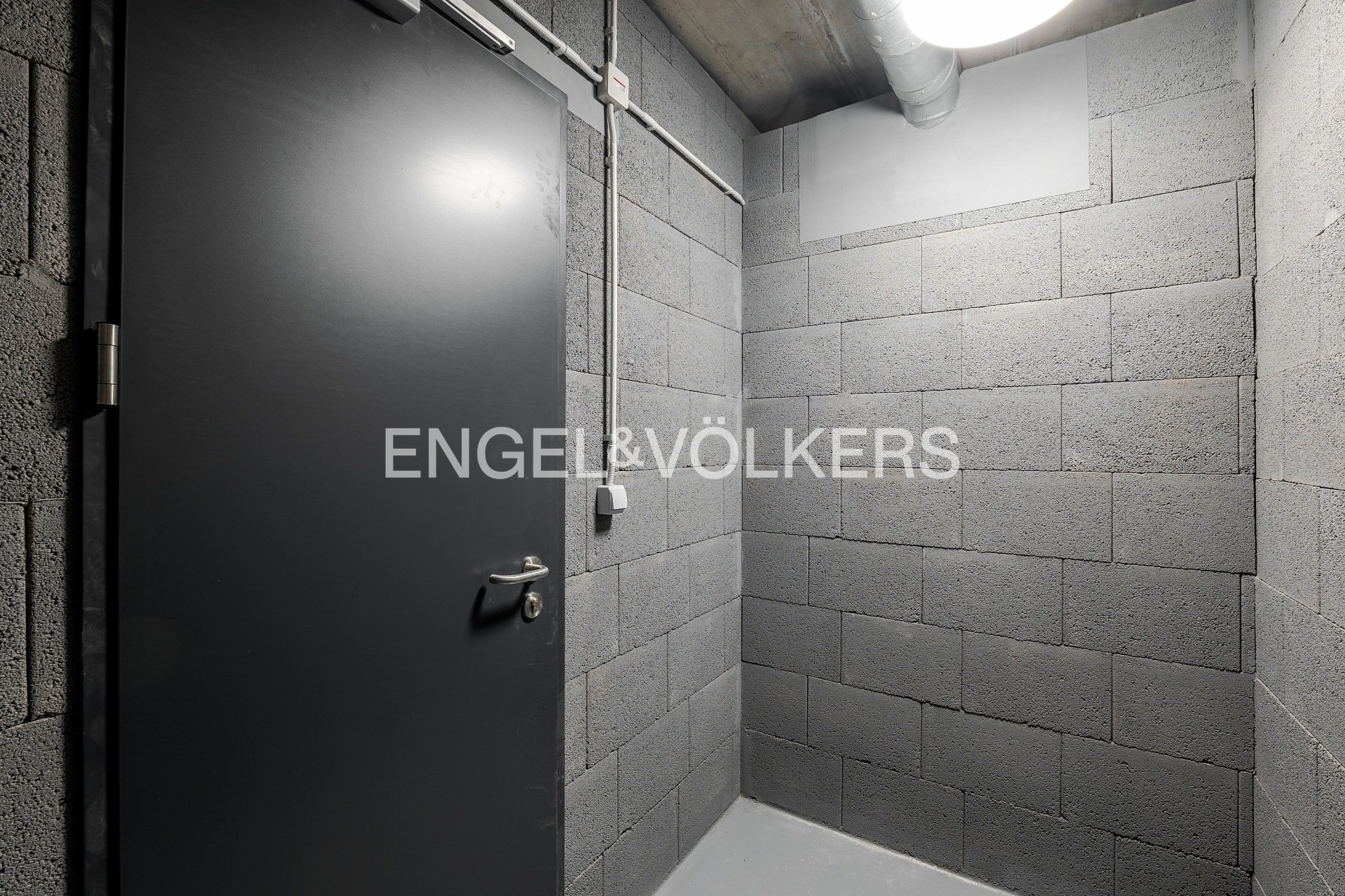 P1624646_web