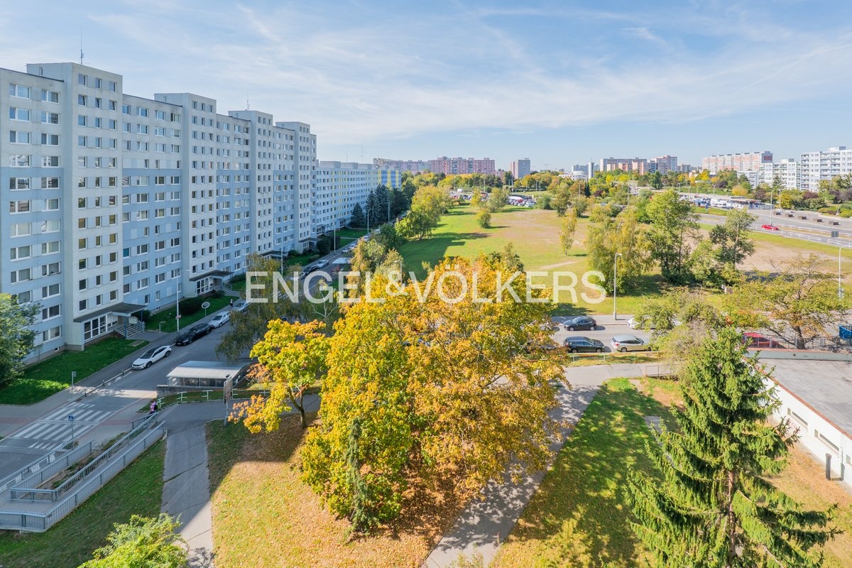 P1638747_Web
