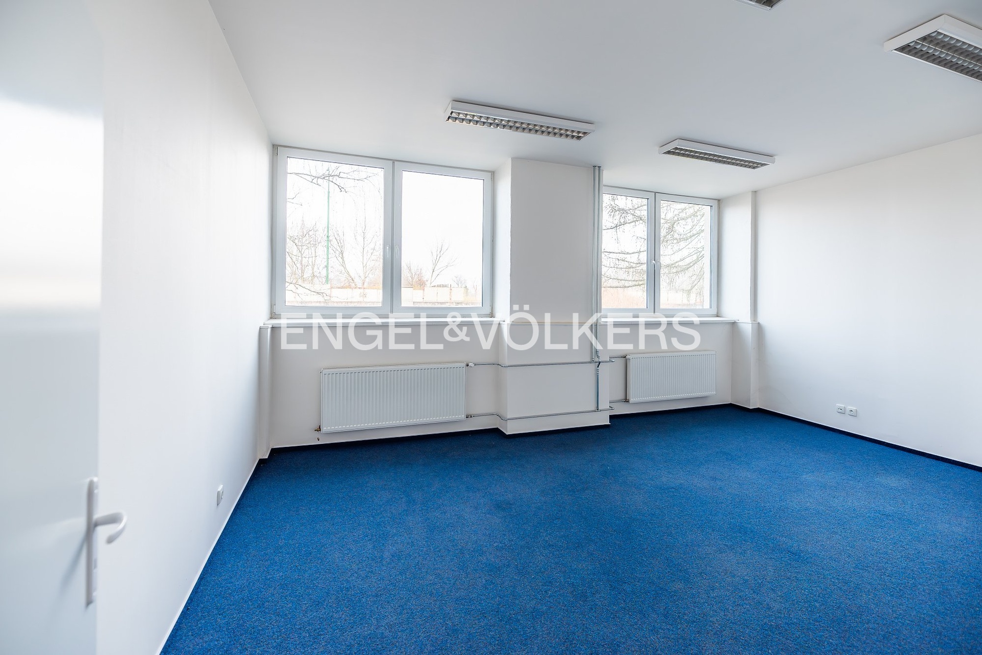 DSC_8898-Enhanced-NR_exposé