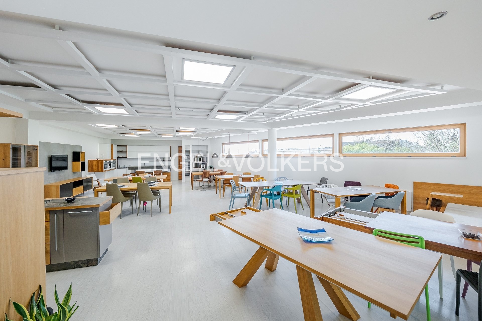 P1545232_web