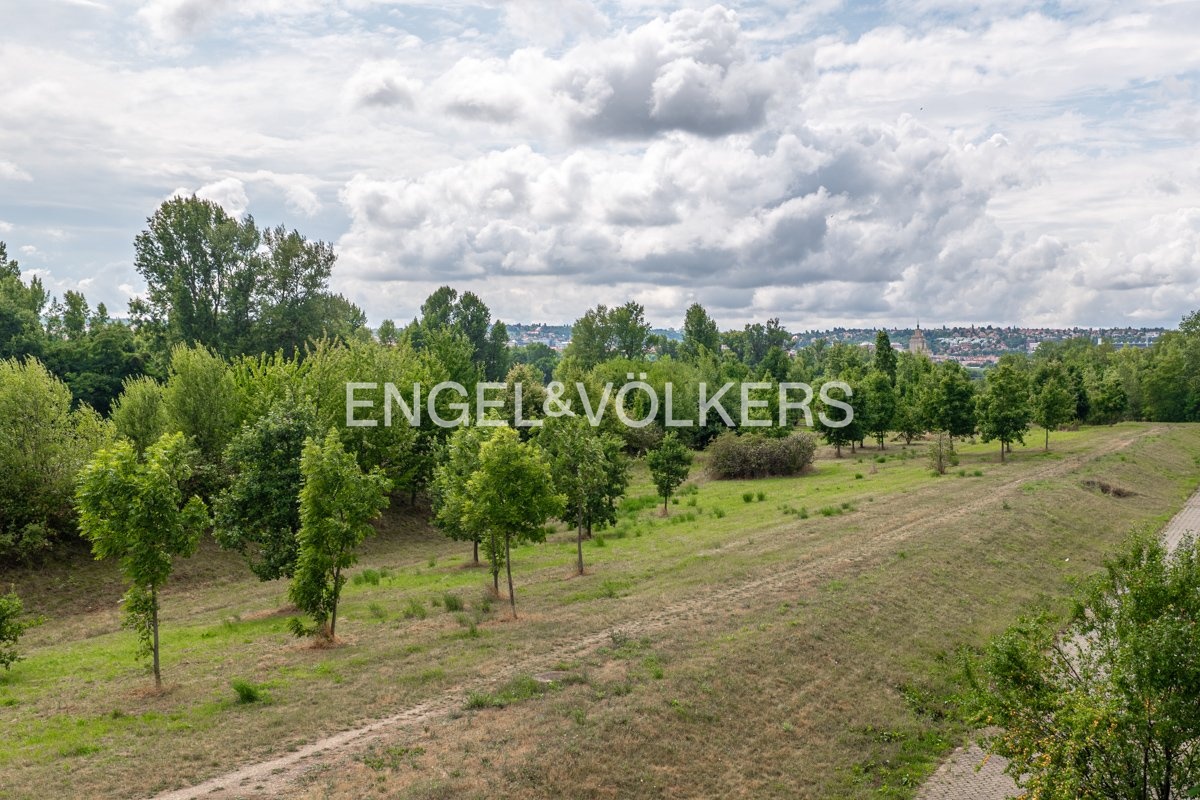 8-P1345691-HDR_web
