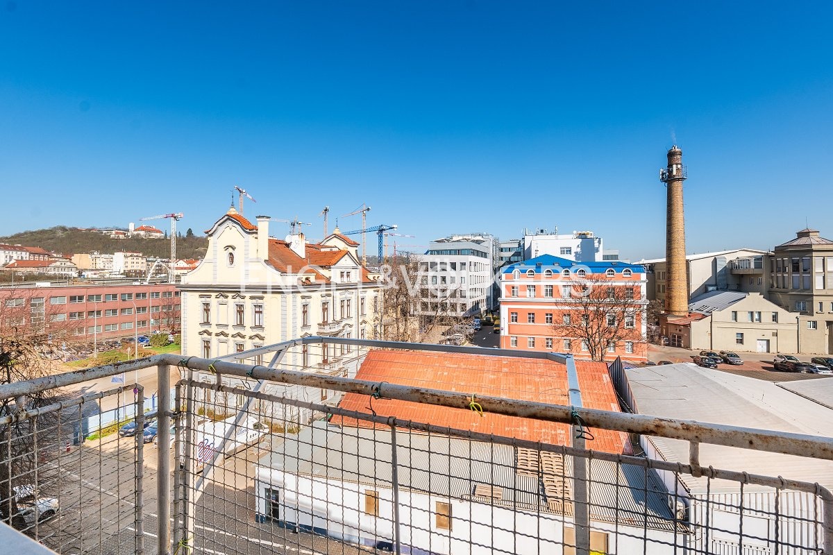 P1245445_web