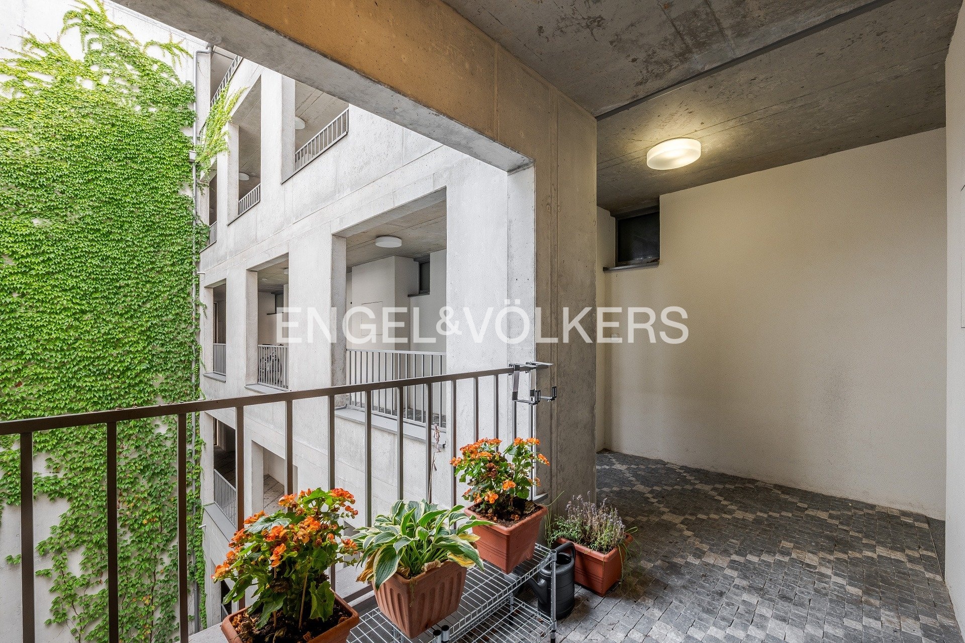 P1637308-HDR_web