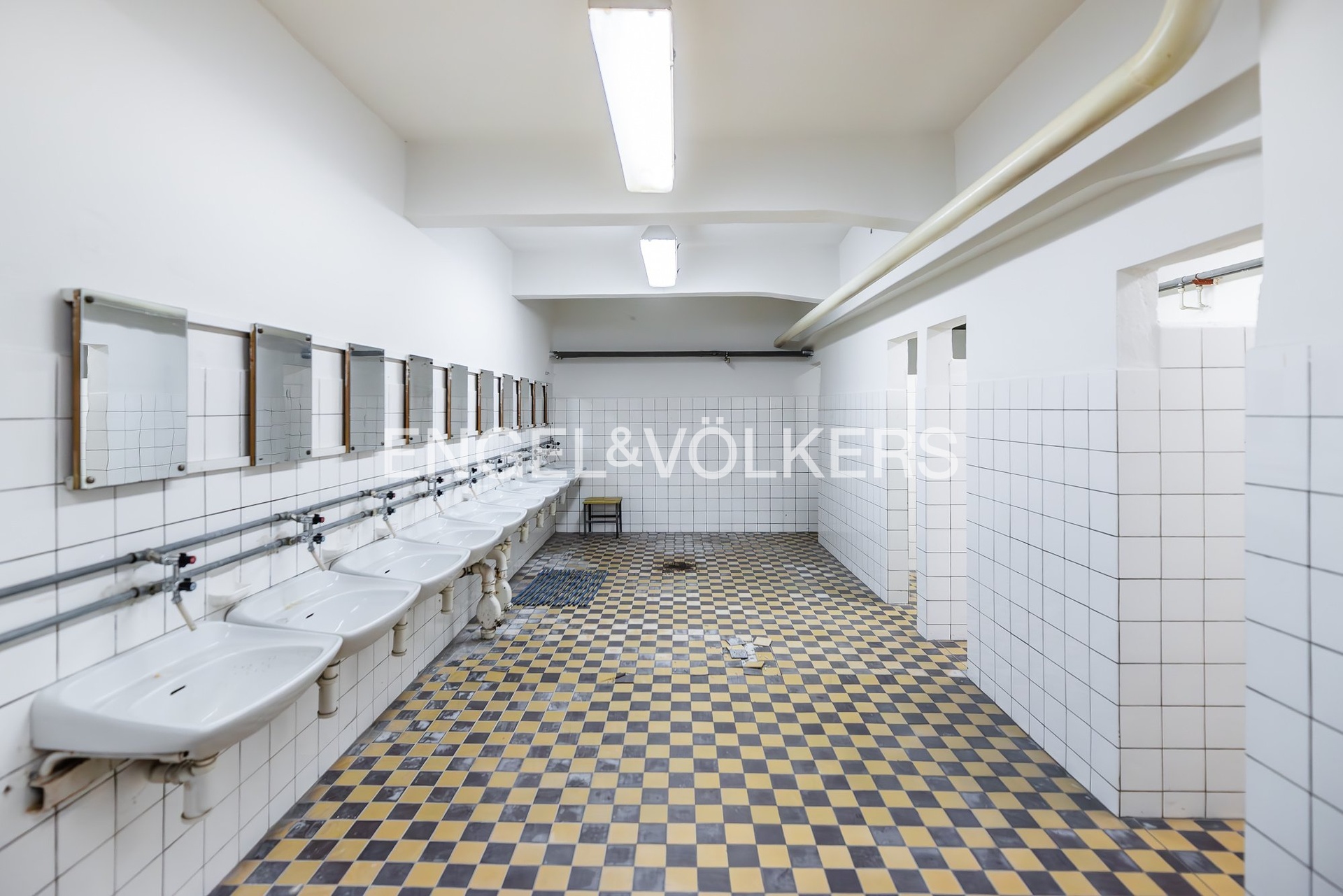 DSC_8927-Enhanced-NR_exposé