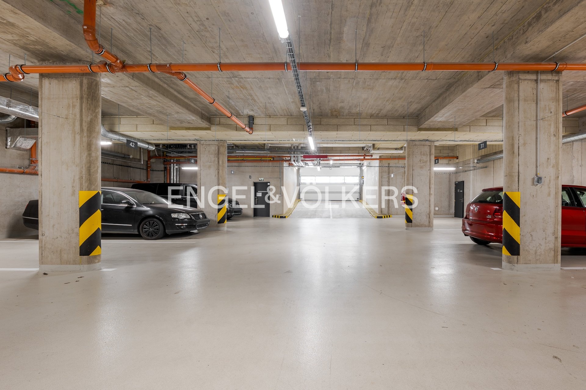 P1601425_web (1)