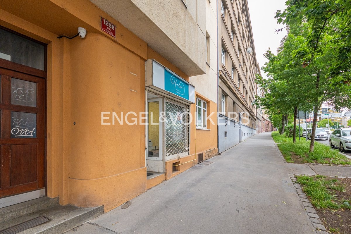 P1278507_web