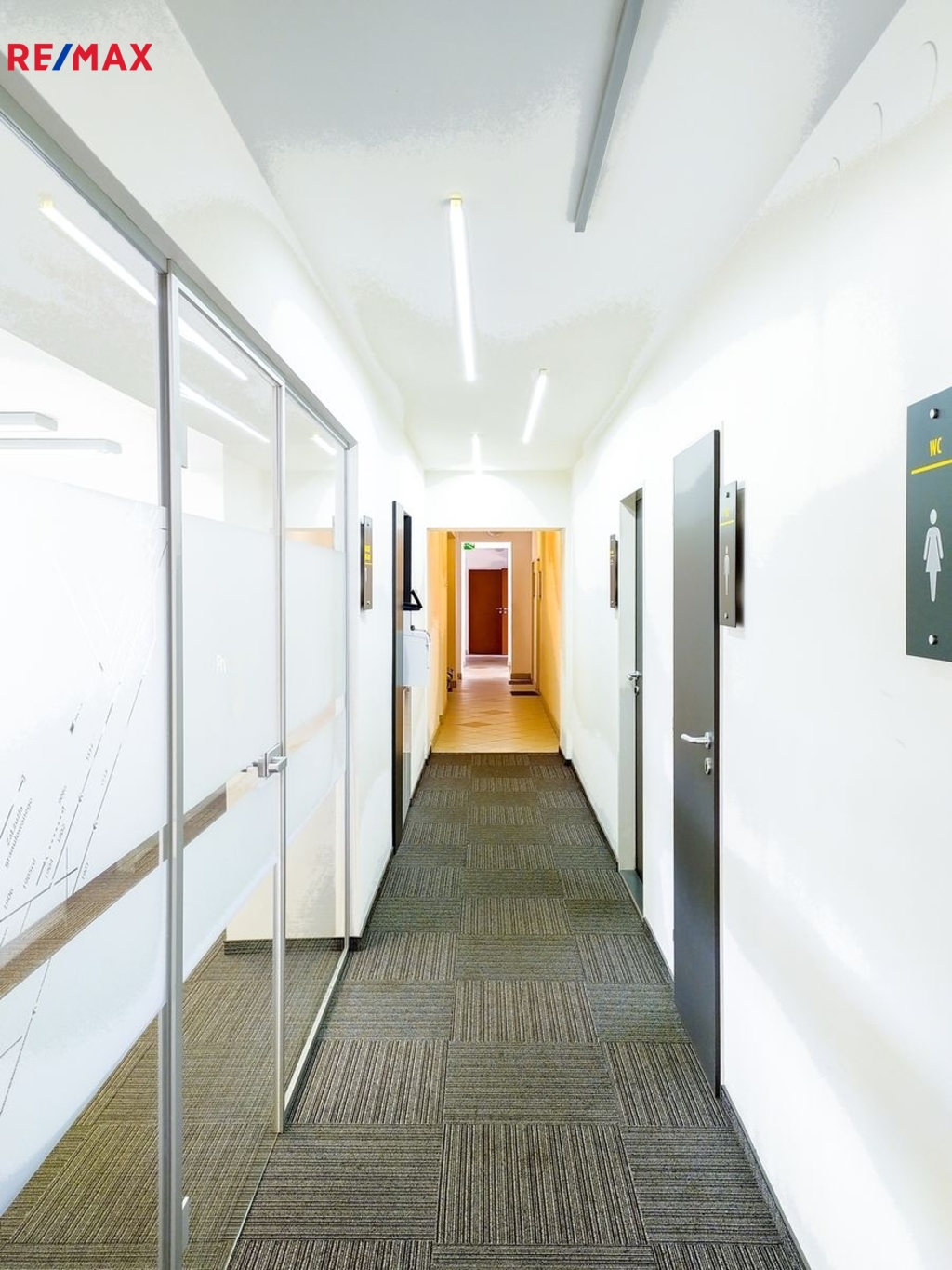 +420 739 604 767 I www.vaclavadamcik.cz I vaclav.a