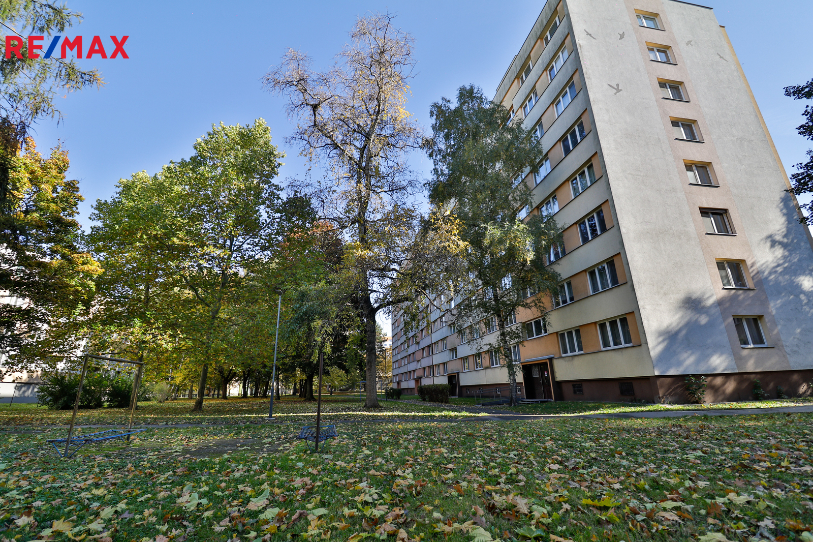 +420 739 604 767 I www.vaclavadamcik.cz I vaclav.a