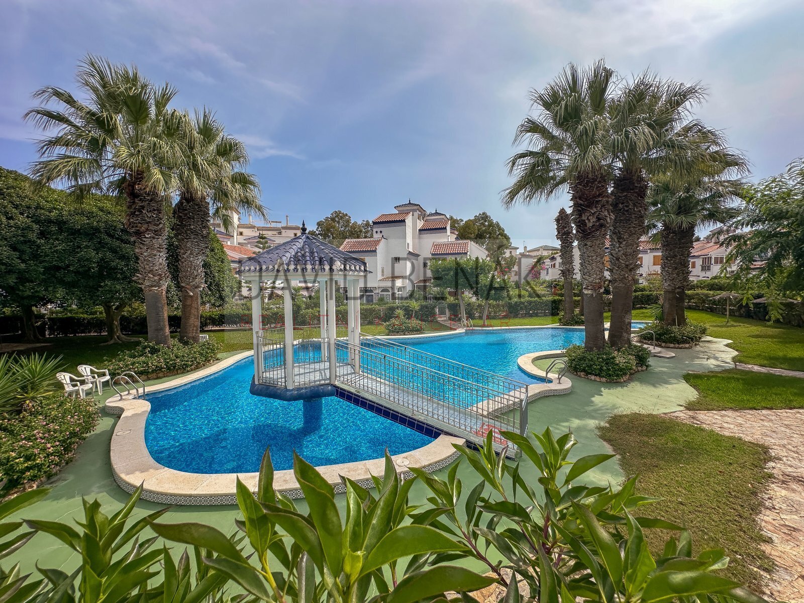 20251008-IMG_0593 copy.jpg