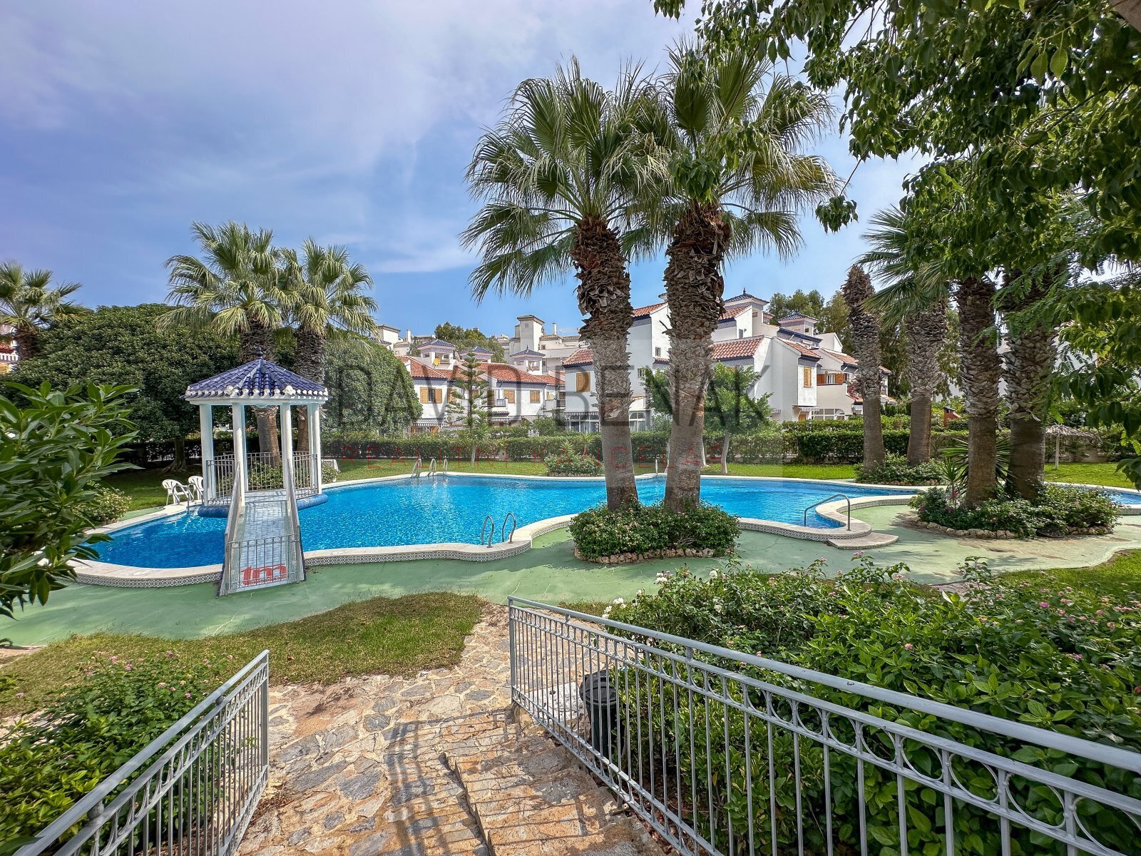 20251008-IMG_0596 copy.jpg