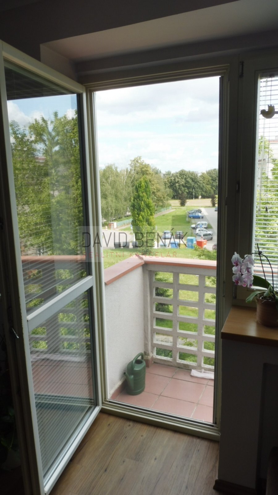 P1050080.JPG
