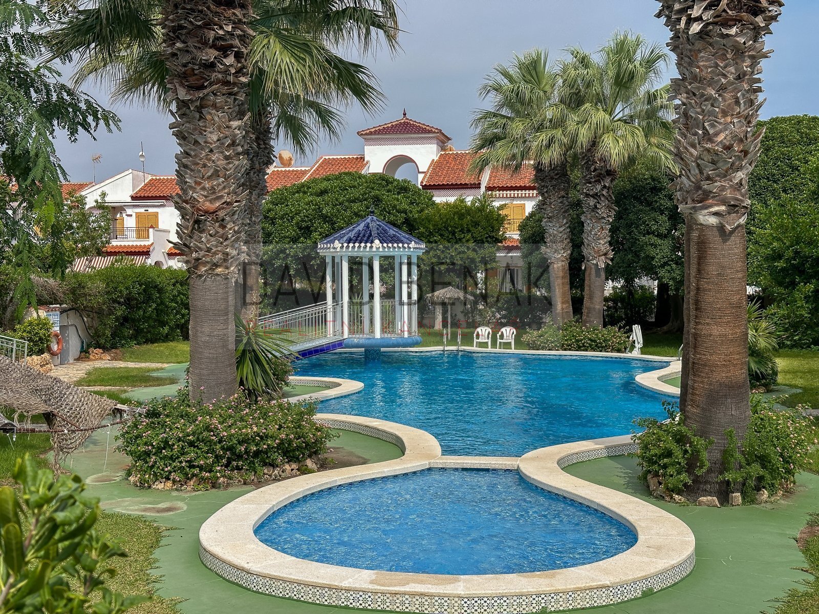 20251008-IMG_0603 copy.jpg