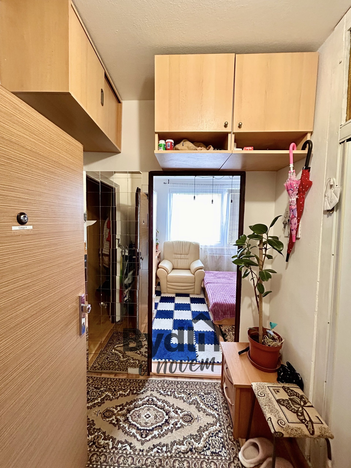 E264C262-8871-48B5-AC30-29EEB8C0CDA2_1_201_a