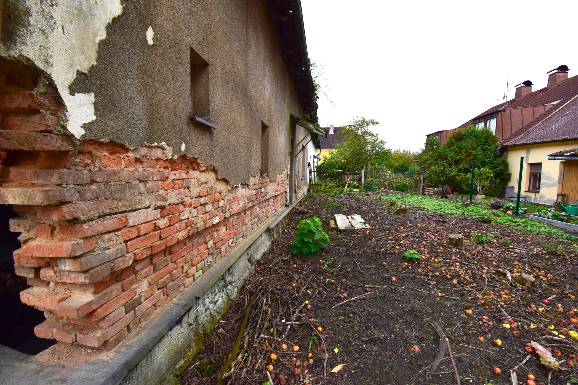 DSC_0344