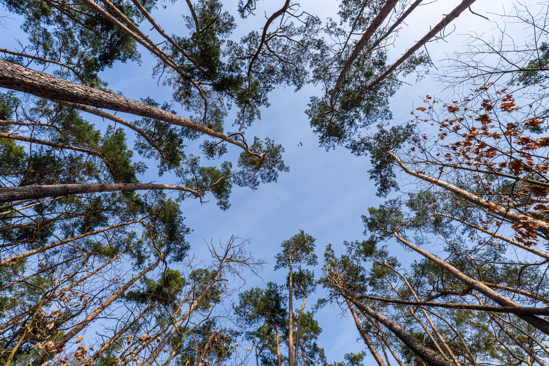 Kersko_rozlis?eni? pro web-4