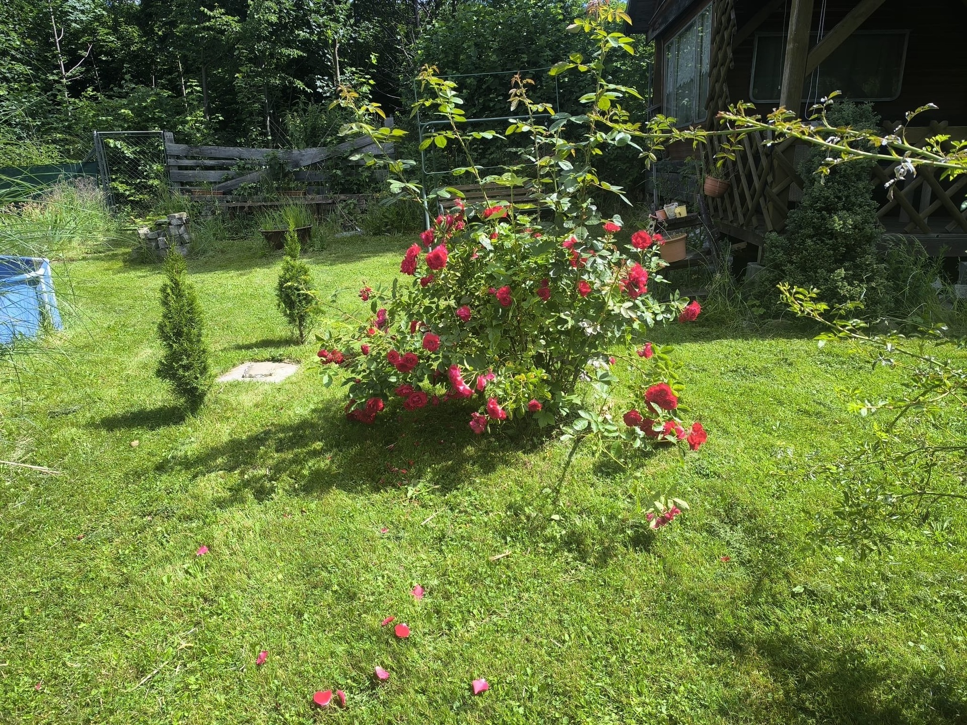 23142af1-a1d8-4e94-a3c1-a1d8e11ca648