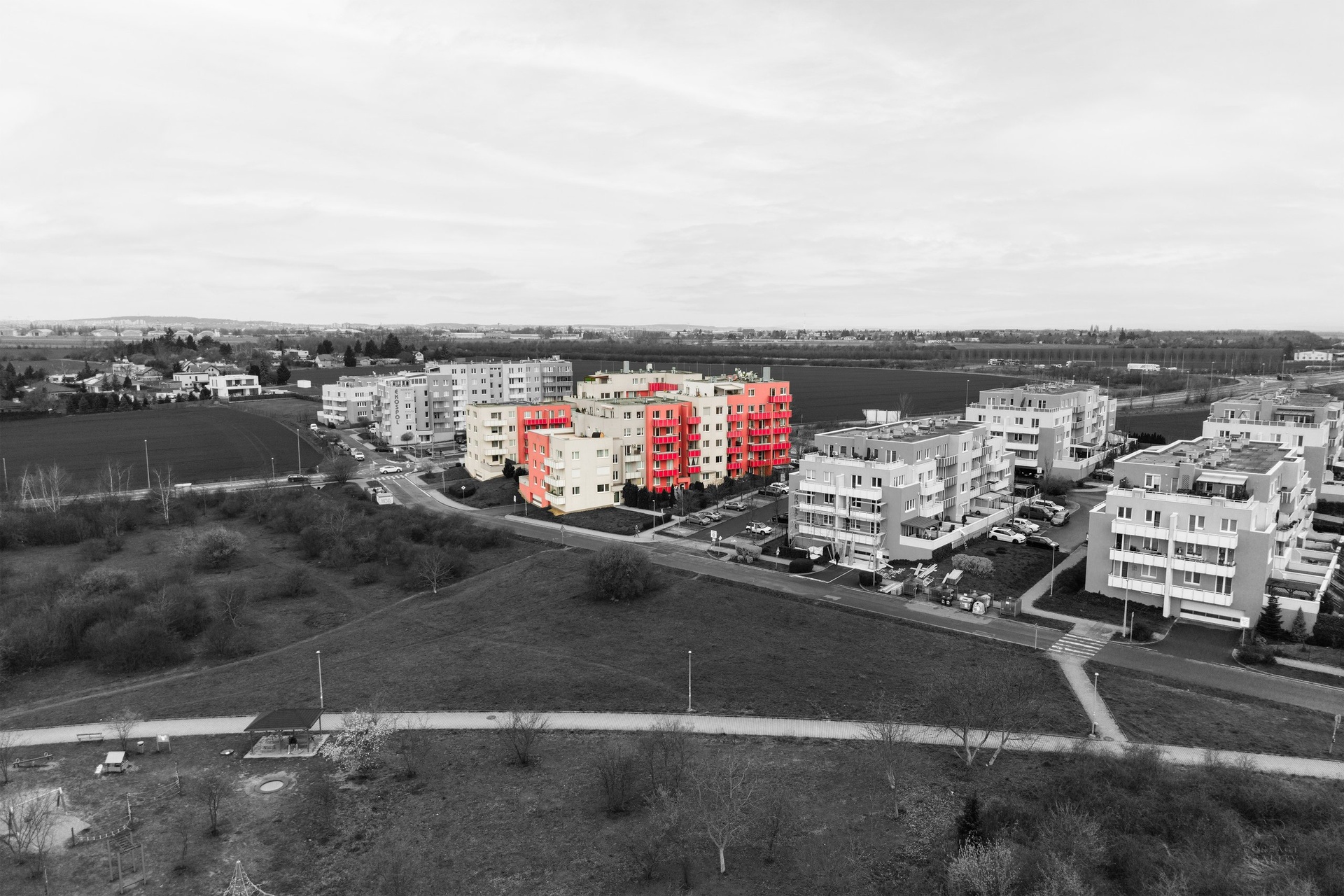 DJI_20260331113820_0952_BW