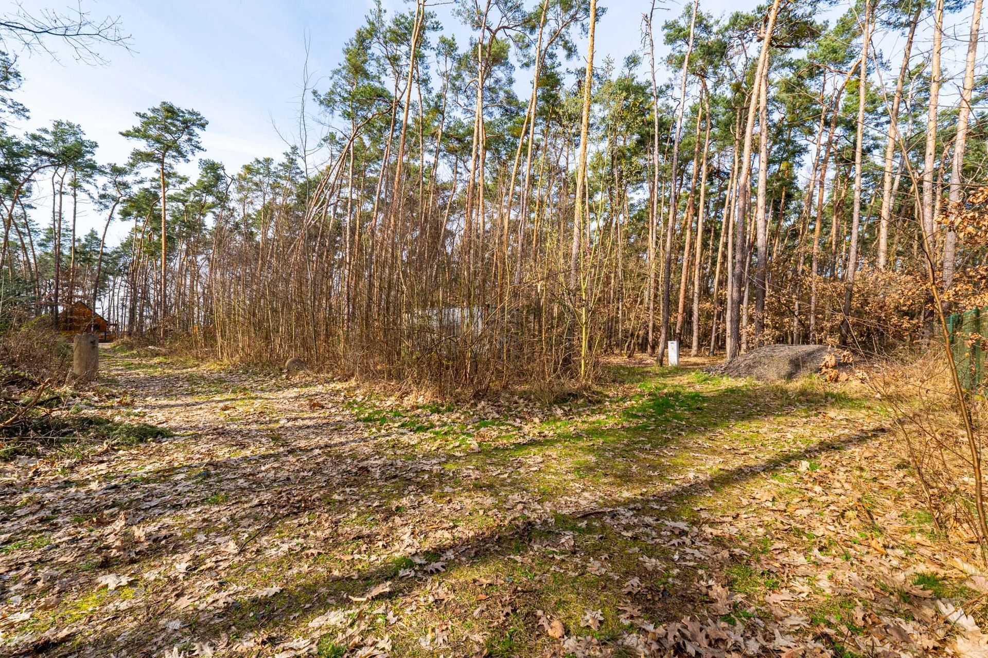 Kersko_rozlis?eni? pro web-3