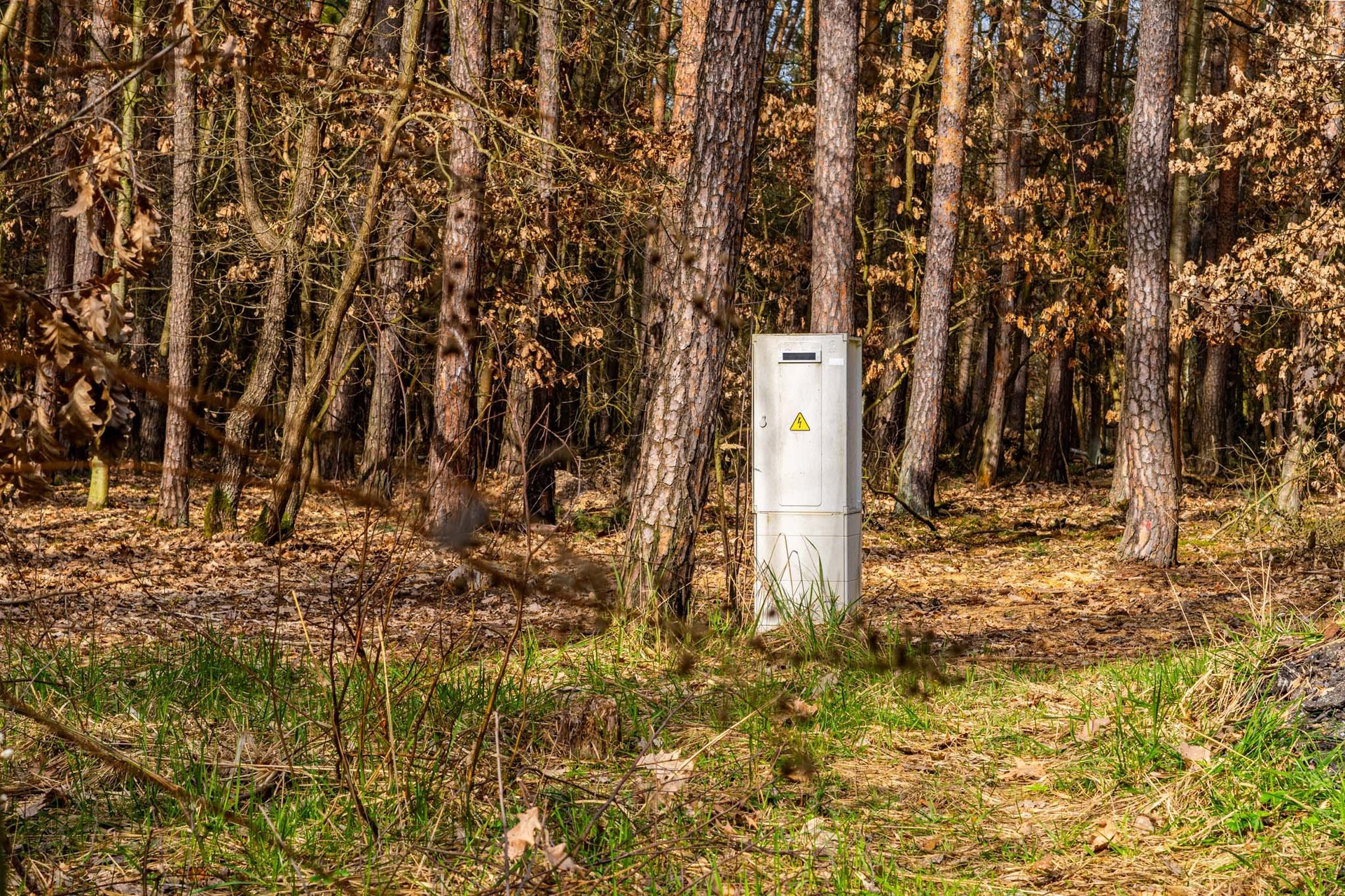 Kersko_rozlis?eni? pro web-9