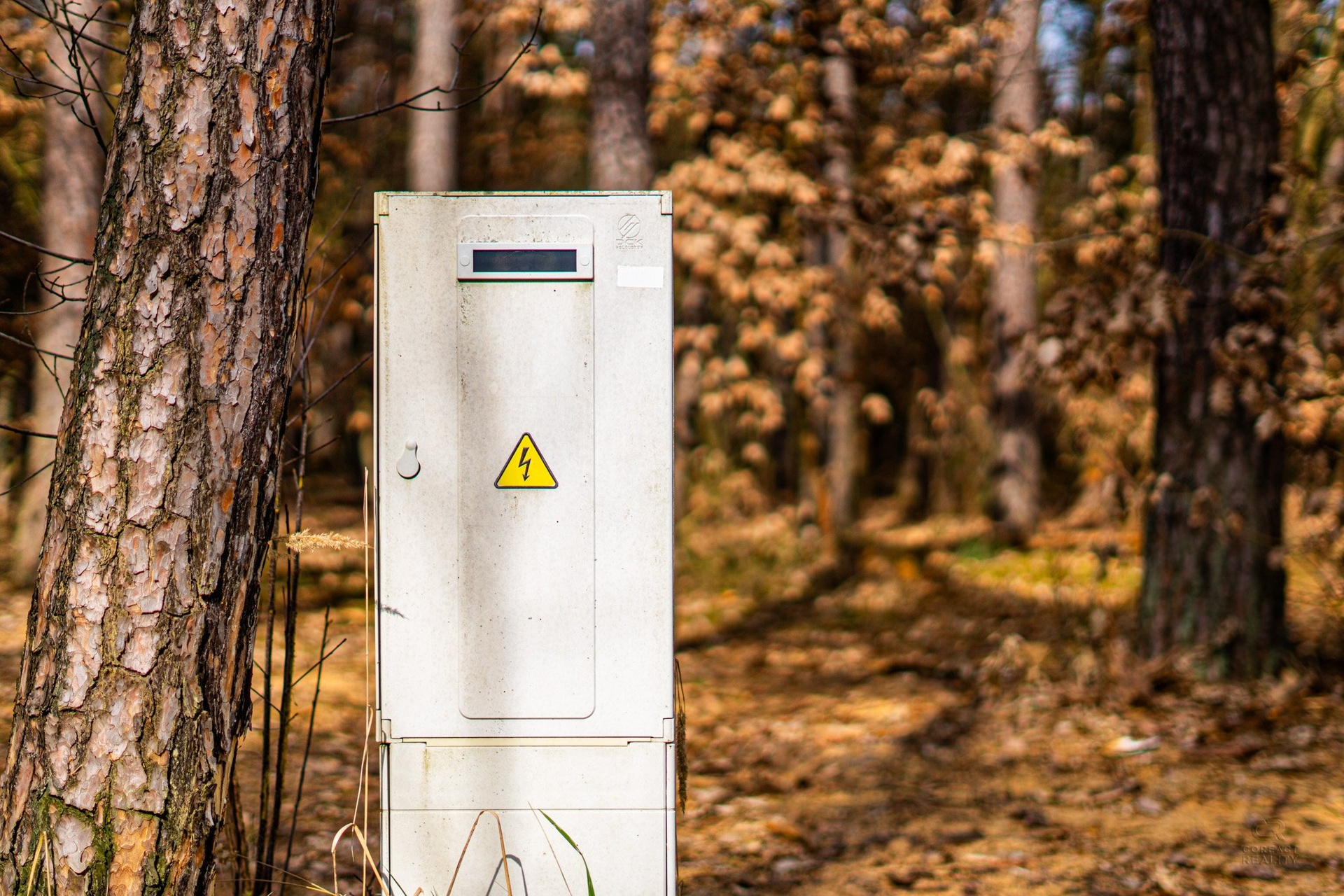 Kersko_rozlis?eni? pro web-8