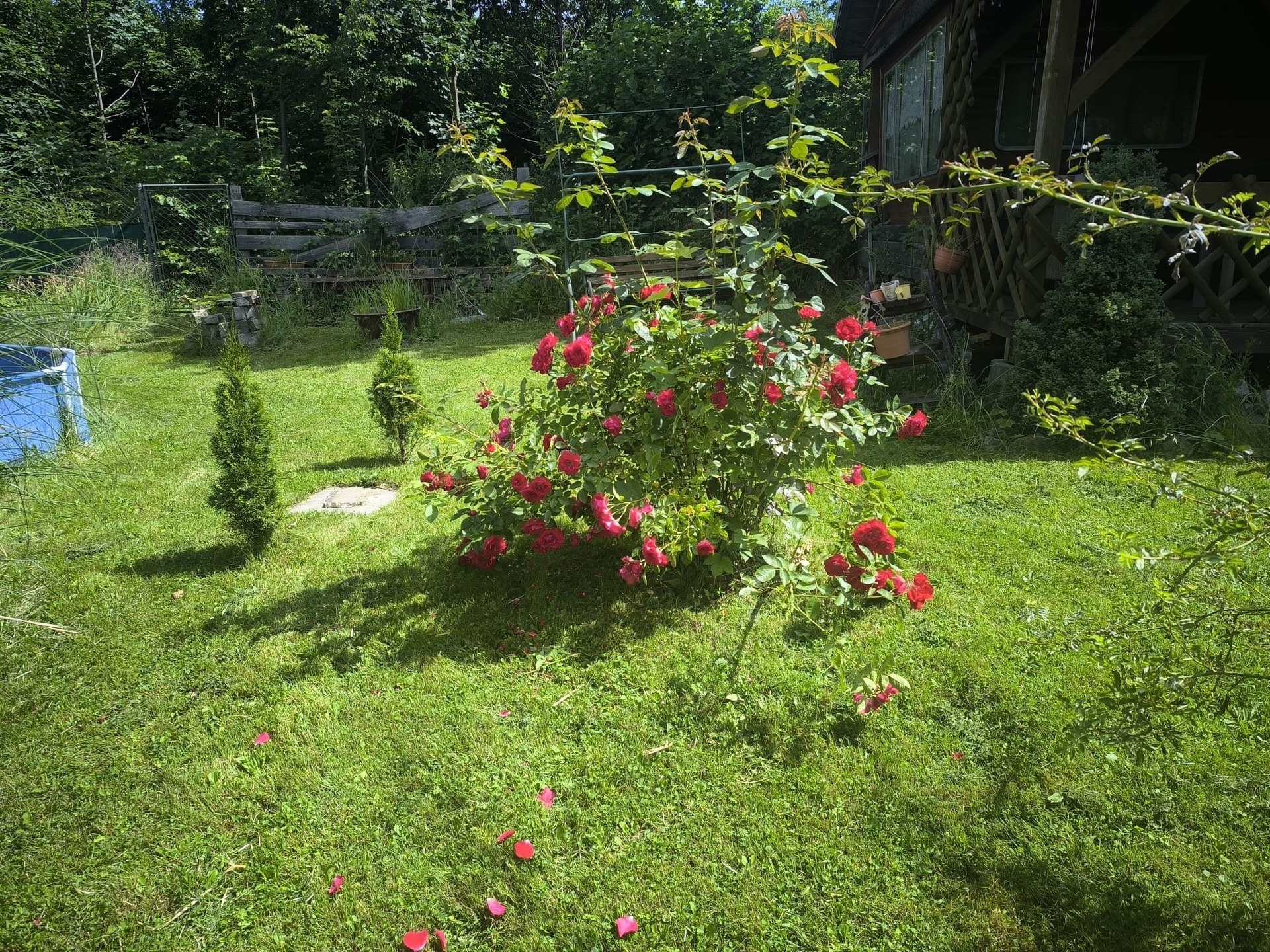 230a4e18-0a60-4457-83d2-bb6d976d1c29