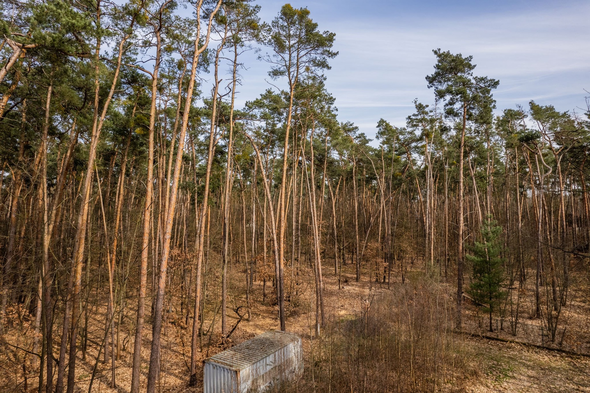 Kersko_rozlis?eni? pro web-14