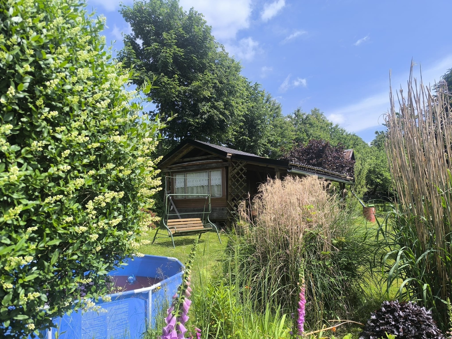 314cb9a3-8778-44d4-87cd-0926e1861d3f