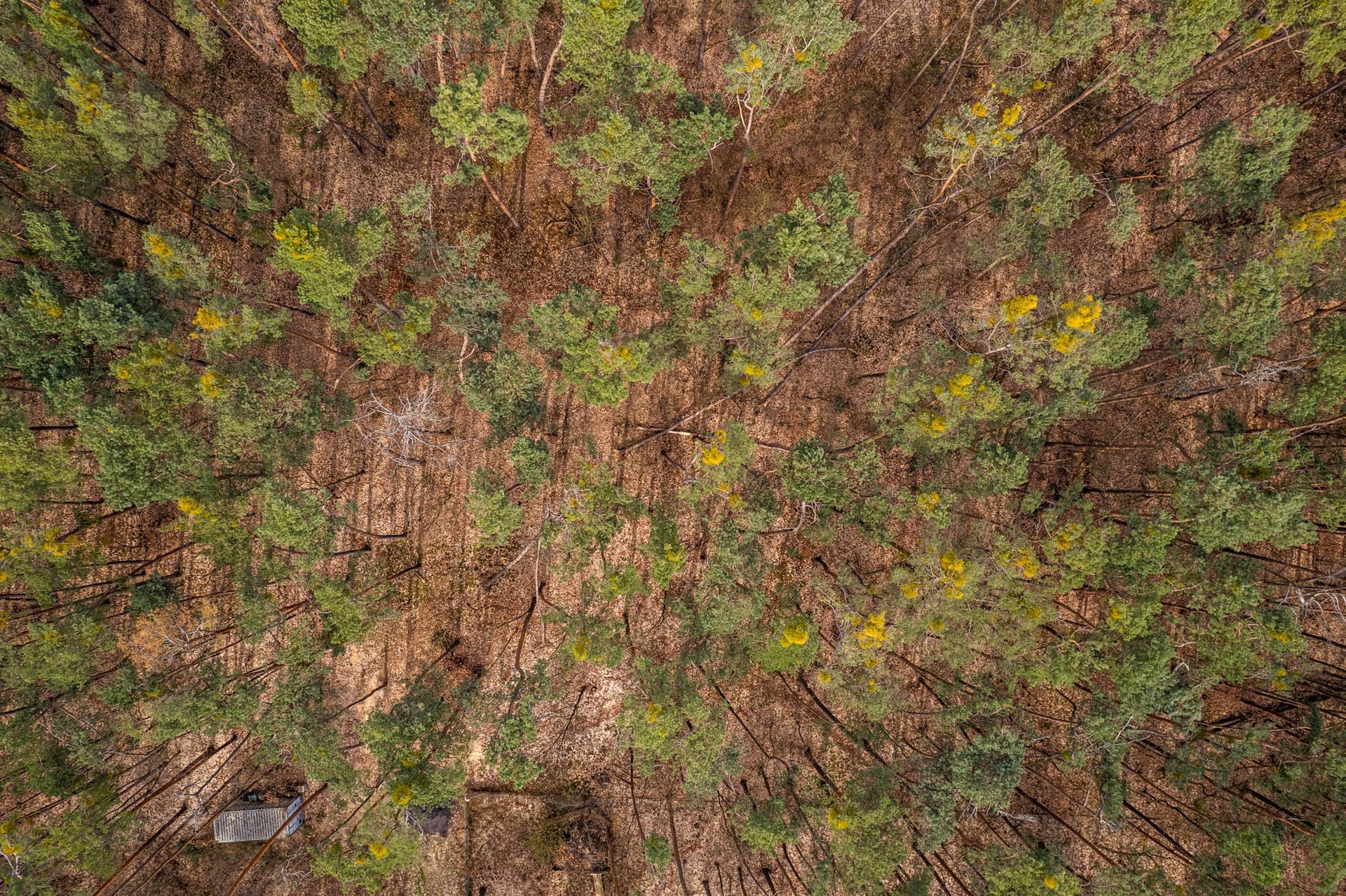 Kersko_rozlis?eni? pro web-10