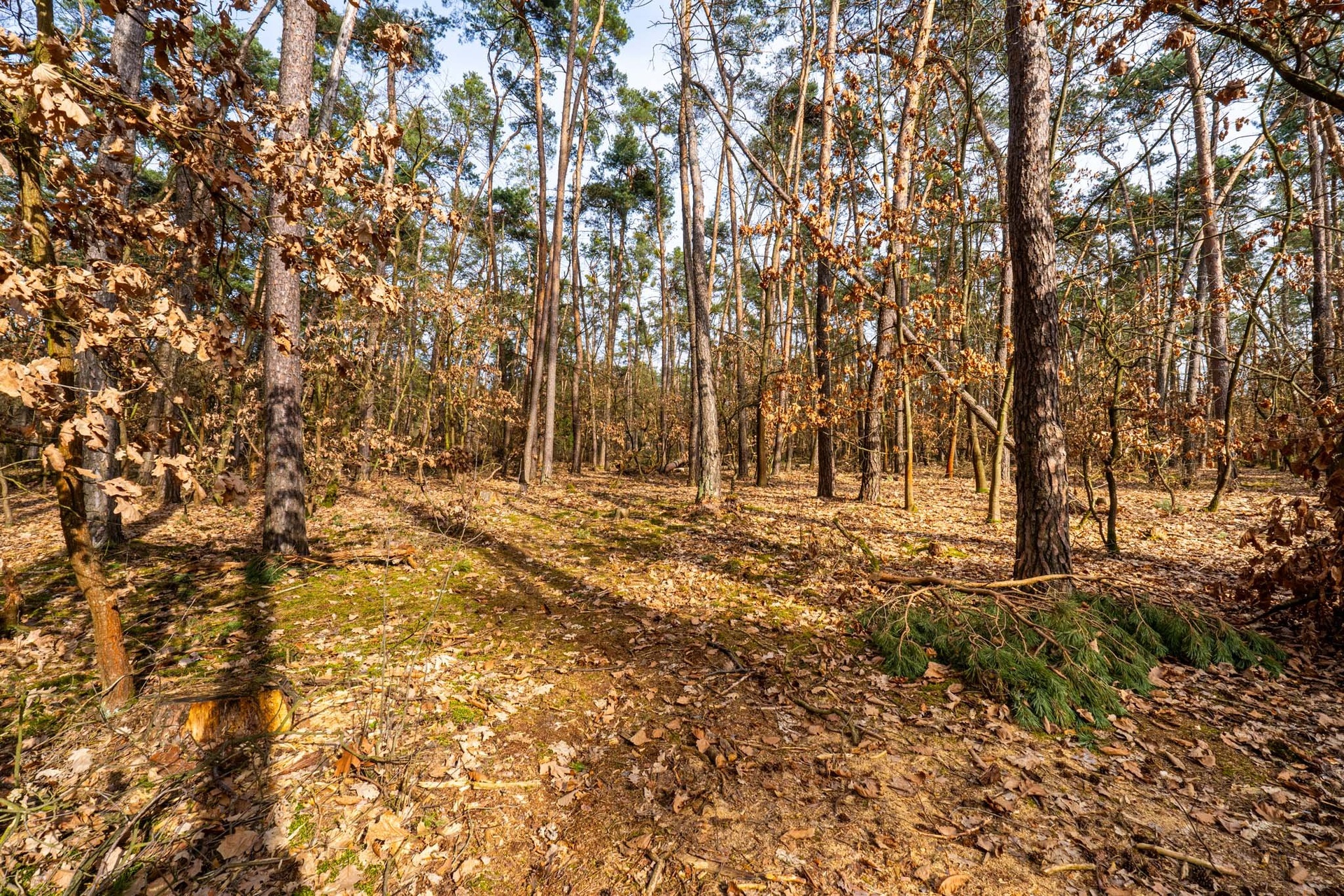 Kersko_rozlis?eni? pro web-5