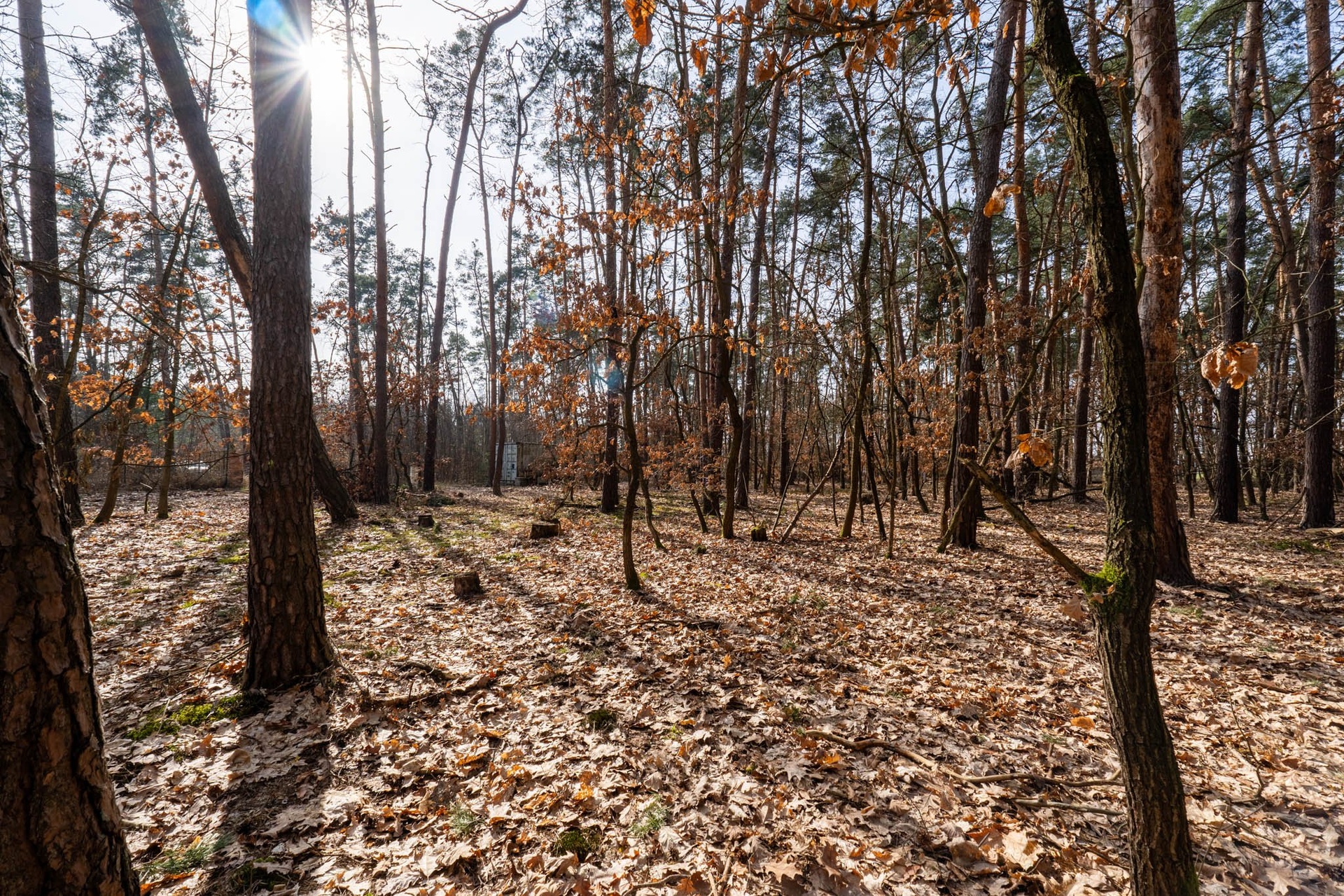 Kersko_rozlis?eni? pro web-6