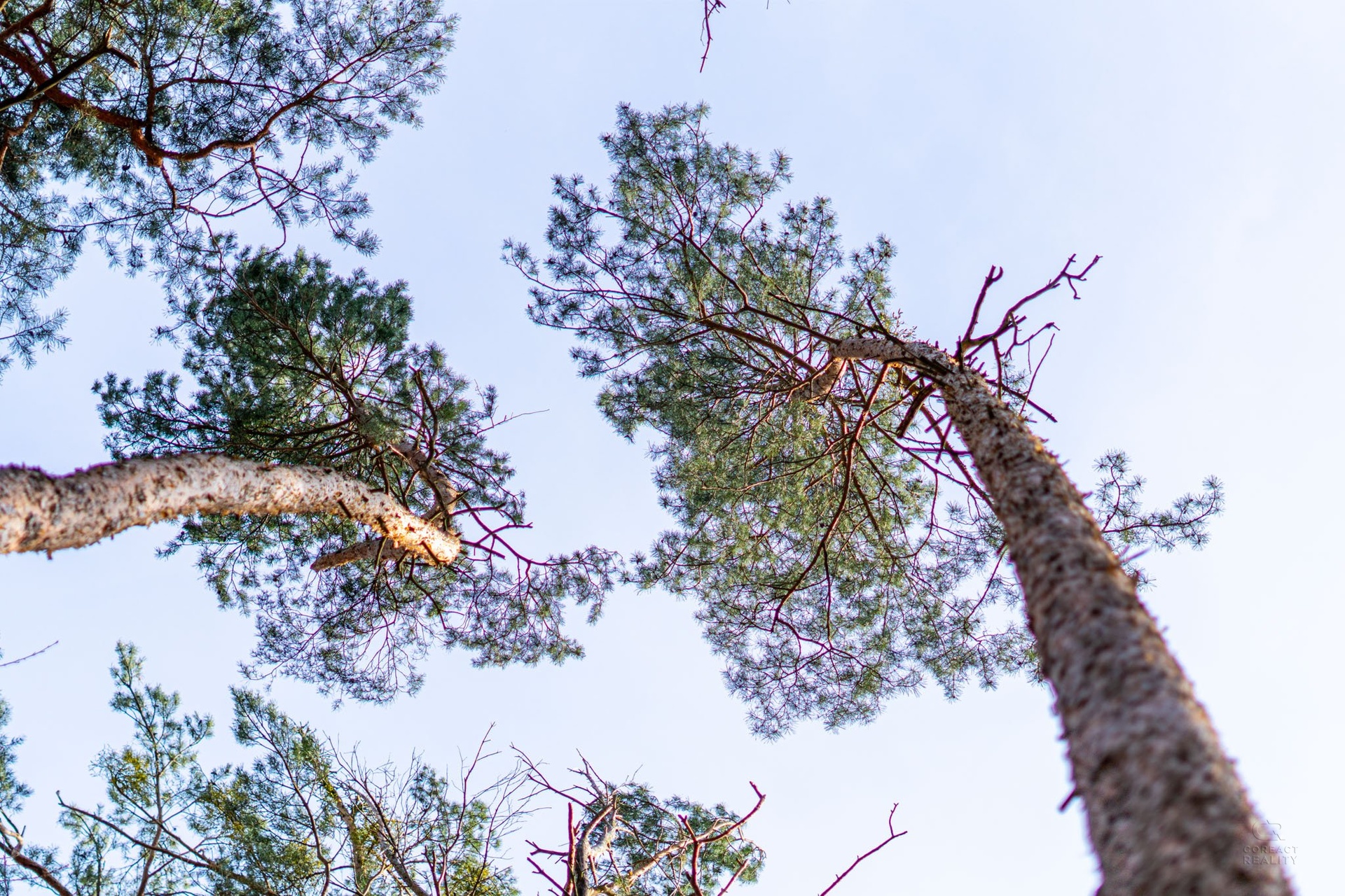 Kersko_rozlis?eni? pro web-7