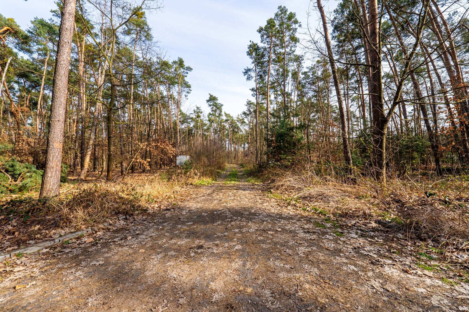 Kersko_rozlis?eni? pro web-1