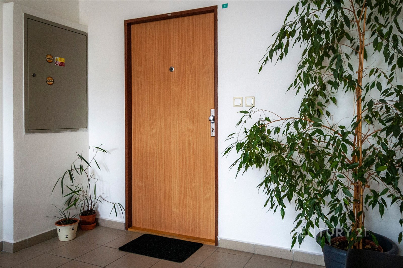 Vstupní prostor s dřevěnými dveřmi, dlažbou na podlaze a pokojovými rostlinami, moderní a světlý interiér bytového domu.