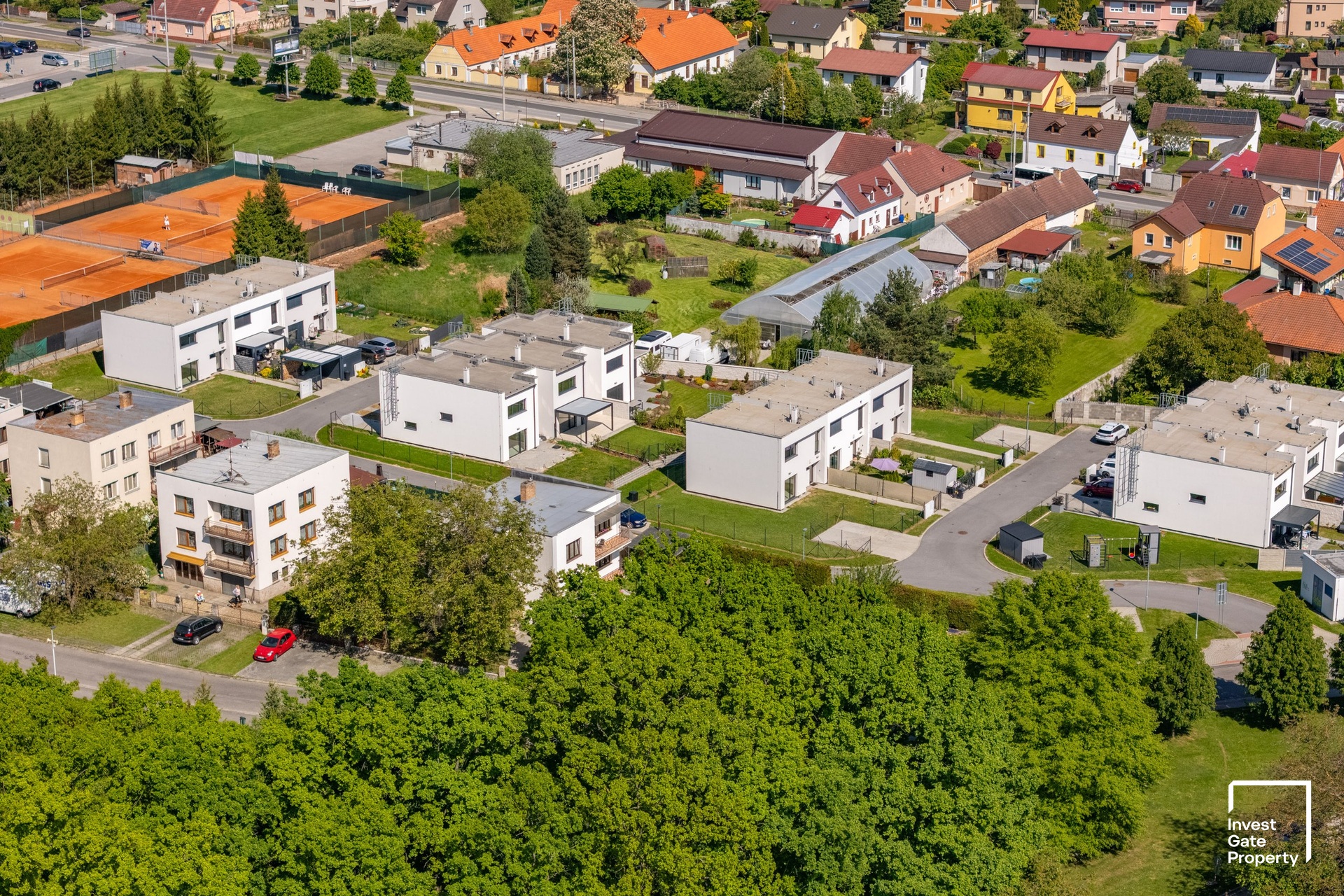 Borek Společné (5)
