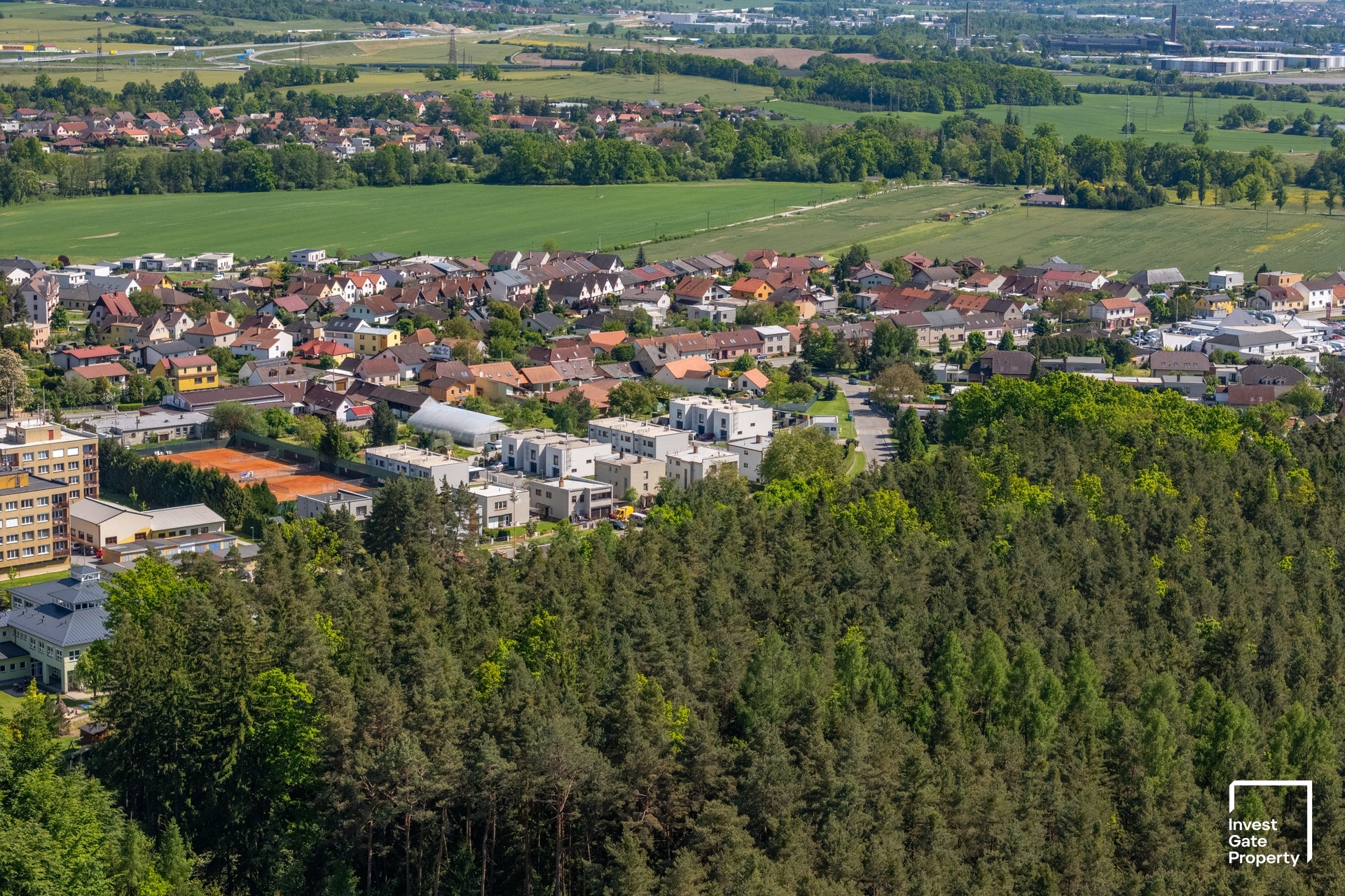 Borek Společné (1)