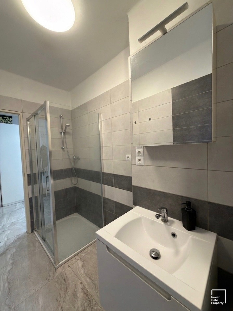 Pronájem byt, Mánesova, ČB