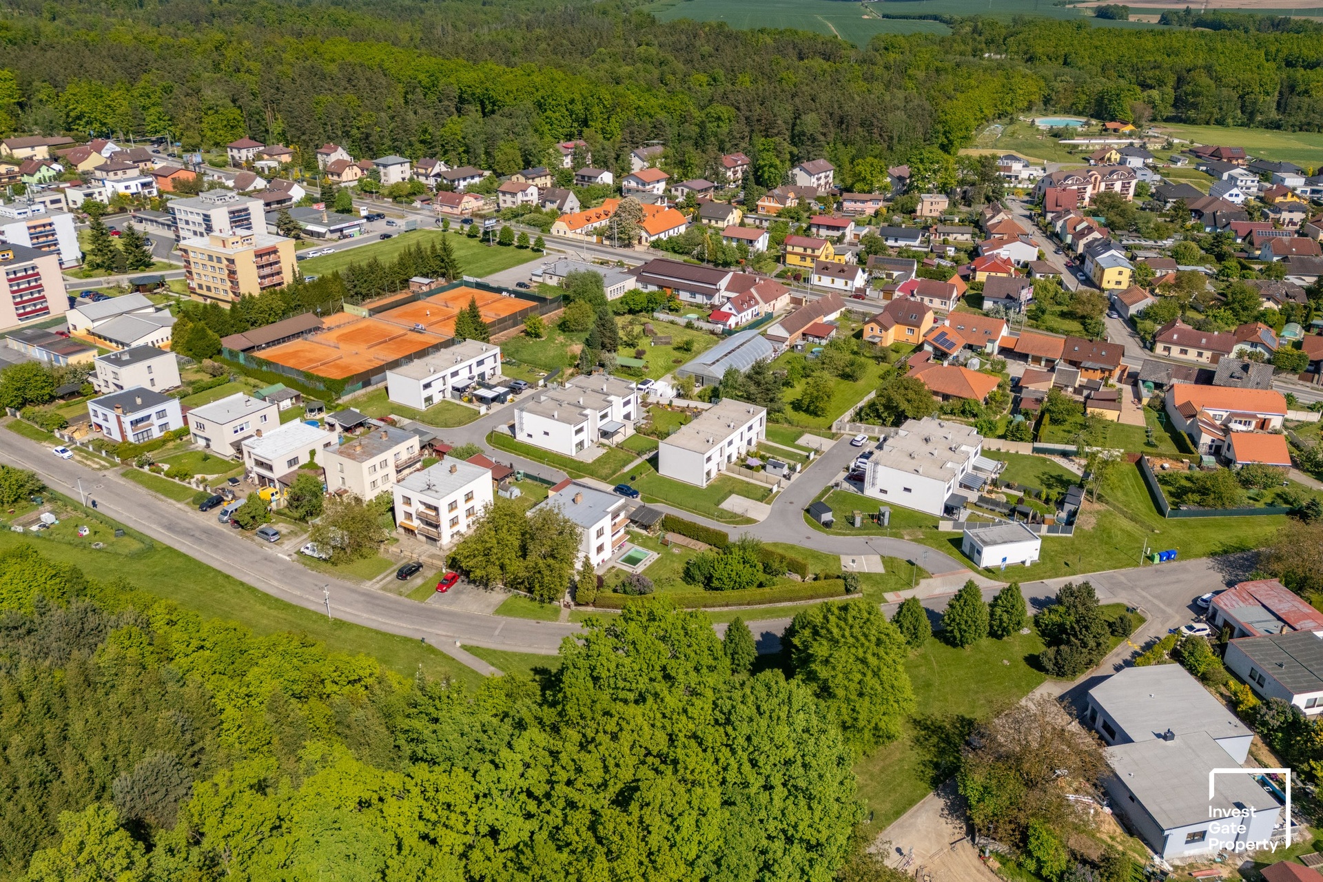 Borek Společné (4)
