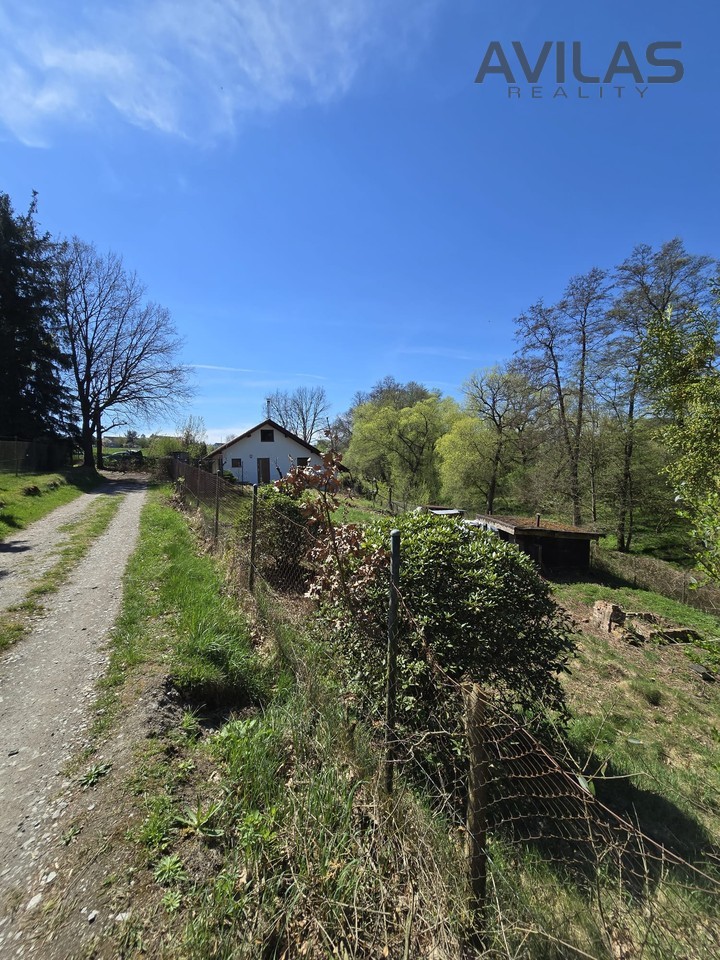 Fotka 22