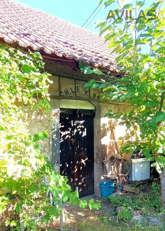 Fotka 26