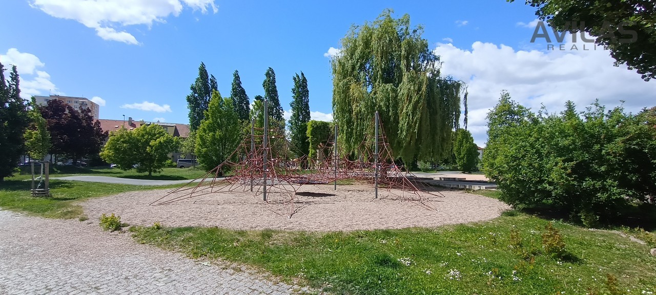 Fotka 5