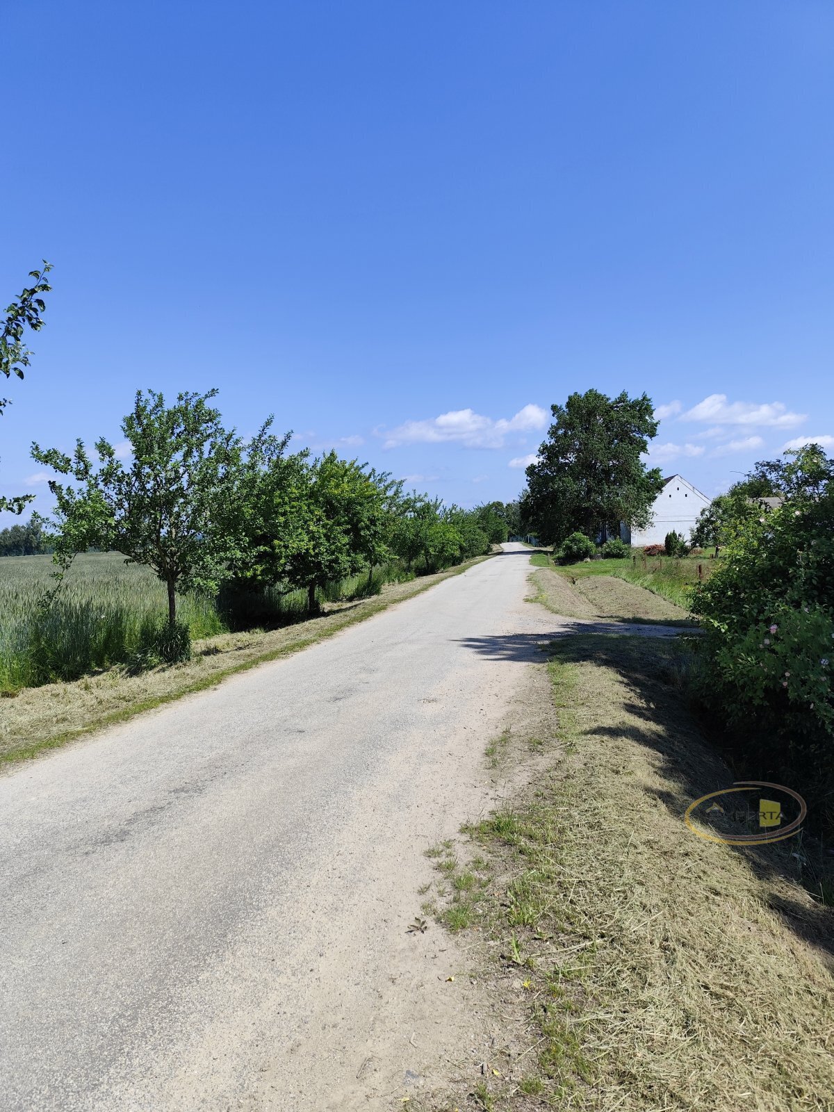třebeč 3.jpg