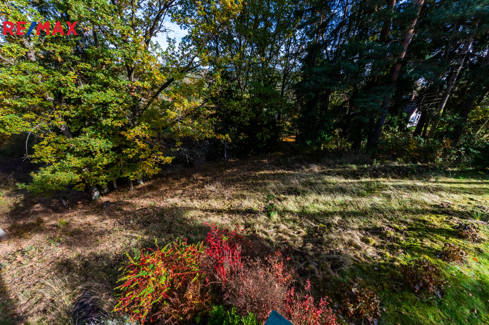 17. Pozemek pod chatou