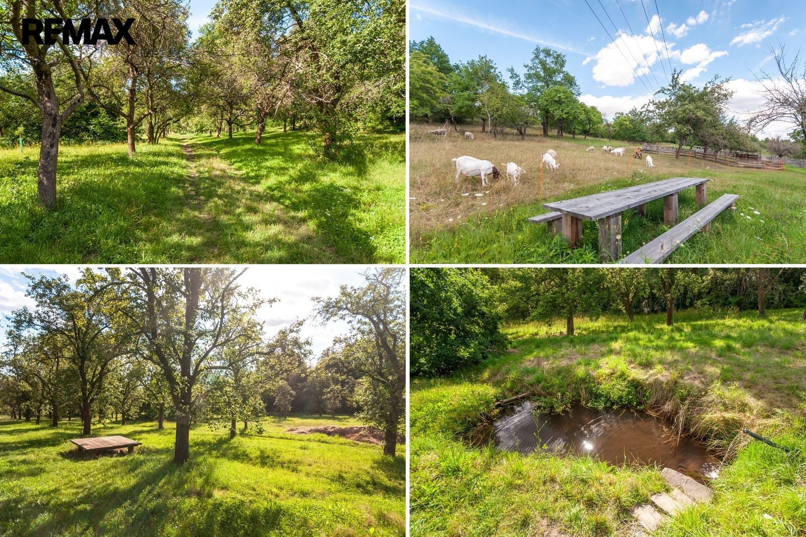 Přírodní park Aloisov a Klíčovské sady